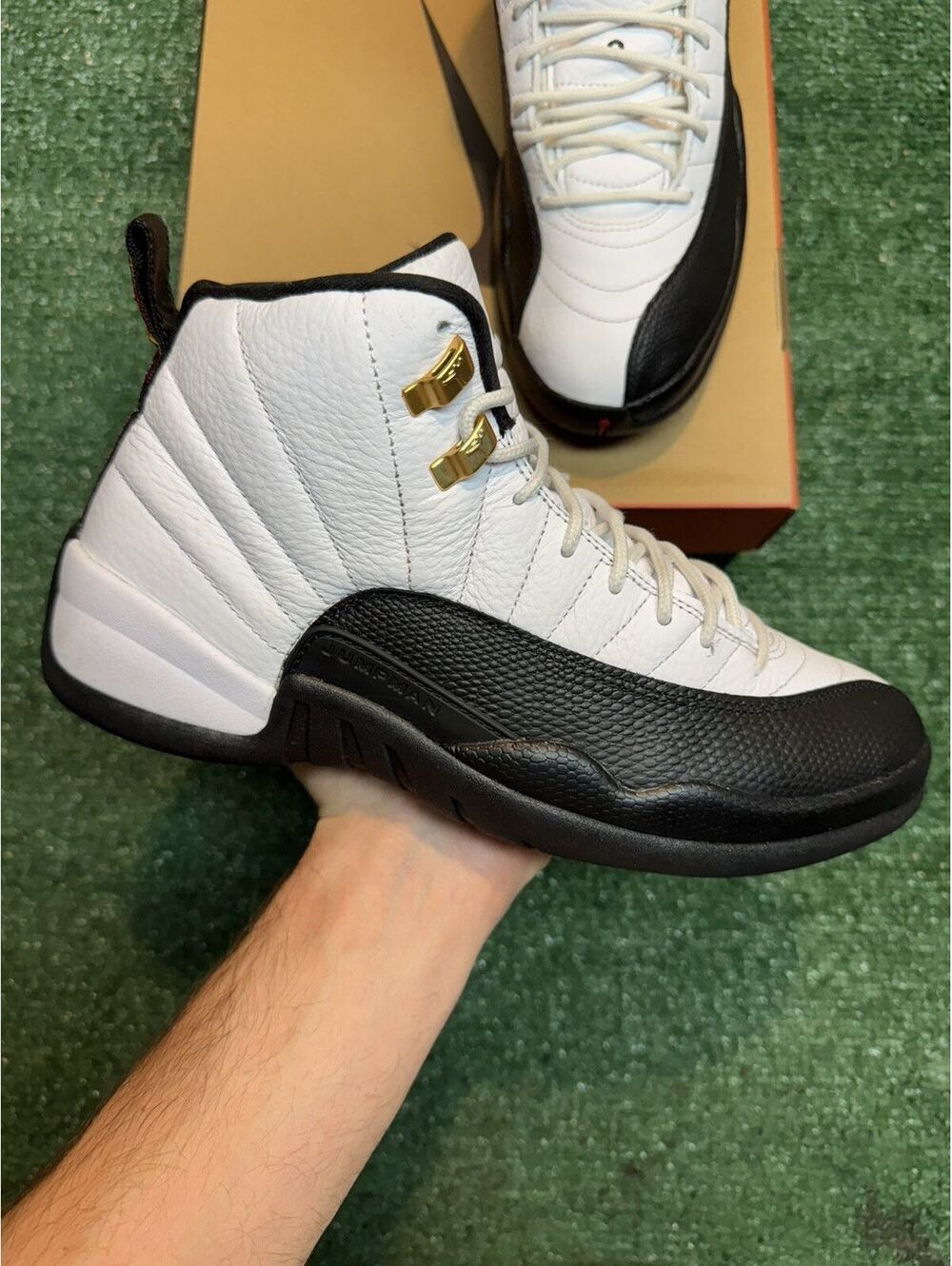 Jordan Retro 12 Taxi Size 9